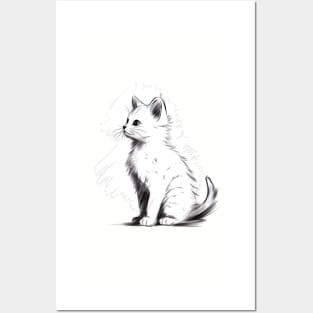 Just a cute little white cat ! Posters and Art